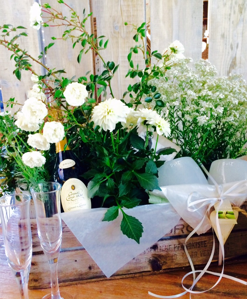 Impressionen blumenhofkehr.de